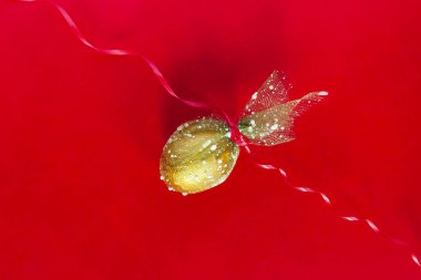 Paskalya yumurtaları