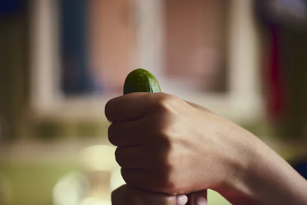 Cucumber as a symbol of male penis in woman hands. Female holding cucumber. Sexual masturbation and orgasm, impotence problem. Self-pleasure concept