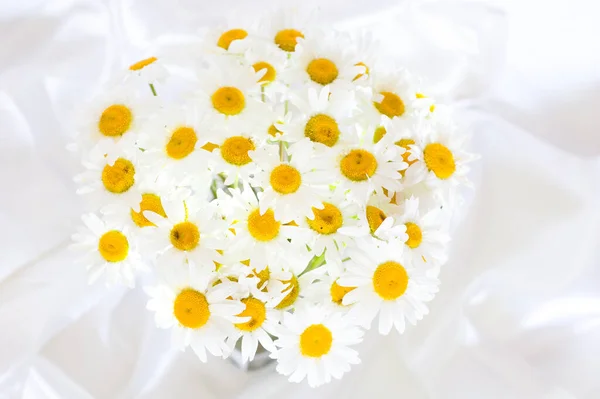 Bouquet of white daisies on a white background