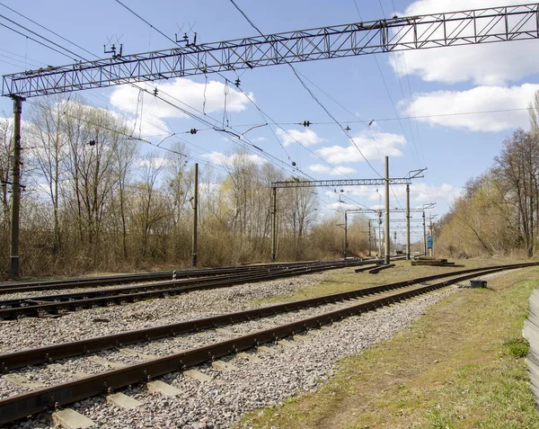 Yeşil yük treni demiryolu ile seyahat eder.