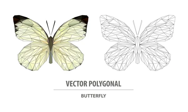 Векторная Многоугольная Бабочка Низкие Столбики Треугольное Цветное Изображение — стоковый вектор