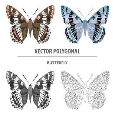Çokgen kelebeği yönlendir. Düşük polimerli çizim. Üçgen renk resmi.