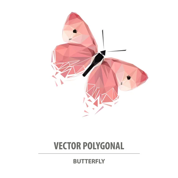 Vecteur Papillon Polygonal Illustration Basse Poly Triangle Image Couleur — Image vectorielle