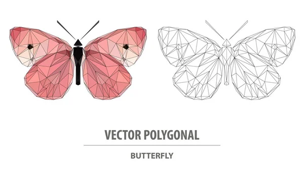 Векторная Многоугольная Бабочка Низкие Столбики Треугольное Цветное Изображение — стоковый вектор