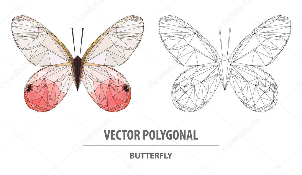 Vector polygonal butterfly. Low poly illustration. Triangle color image.