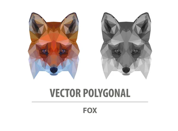 Tête Renard Polygonale Vectorielle Illustration Basse Poly Prédateur Triangle Image — Image vectorielle