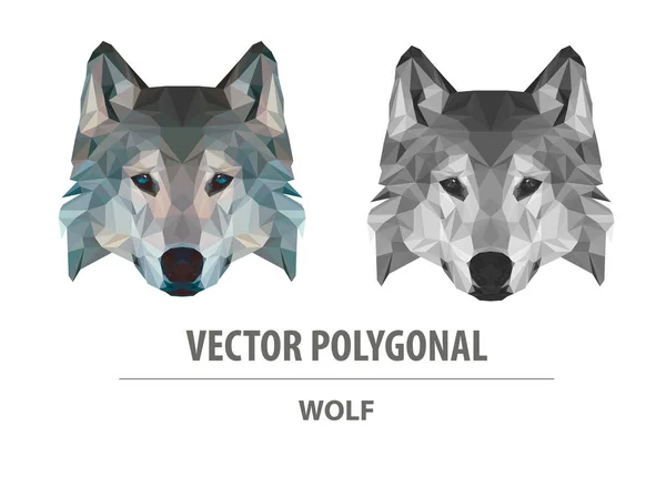 Vektor Sokszögű Farkasfej Alacsony Poli Ragadozó Illusztráció Háromszög Egyszerű Színes — Stock Vector