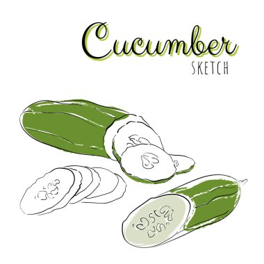 Salatalıkla el çizimi bileşimi.