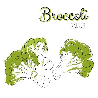 Brokoli ile el çizimi bileşimi.