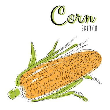 Nasırlı çizim. Çizgi film tarzında nasırlı vektör boyası kompozisyonu. Beyaz arkaplanda izole.