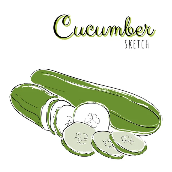 Hand Drawn Composition Cucumber — Stock Vector