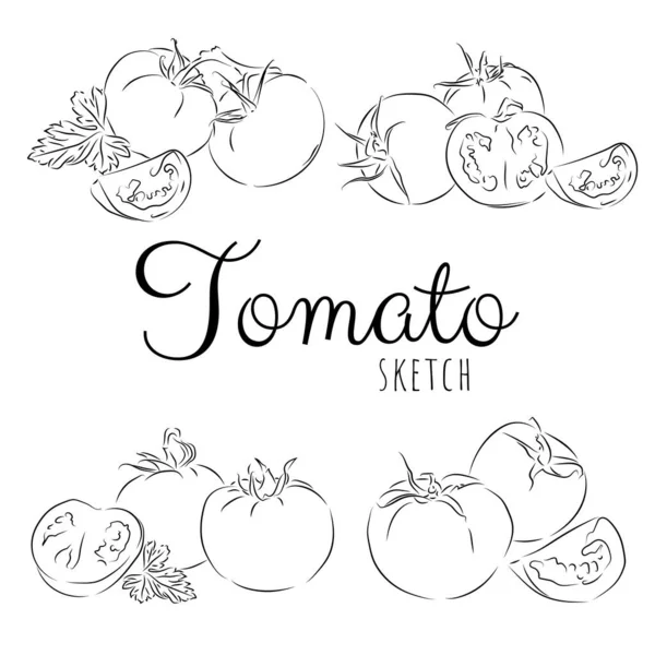 Handritad Sammansättning Med Tomater — Stock vektor