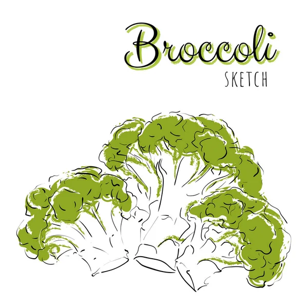 Handritad Sammansättning Med Broccoli — Stock vektor
