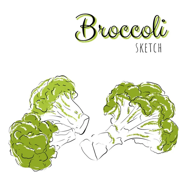 Handritad Sammansättning Med Broccoli — Stock vektor