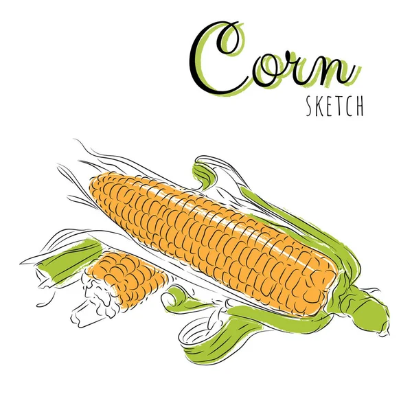 Состав Вручную Кукурузой — стоковый вектор