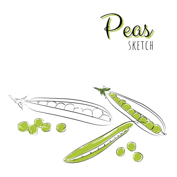 Composition Dessinée Main Avec Des Pois — Image vectorielle