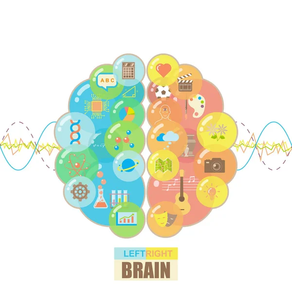 Concepto de burbujas cerebrales izquierda y derecha — Archivo Imágenes Vectoriales