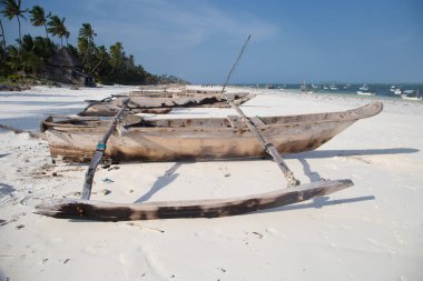 Wooden Catamarans on sandy beach in Zanzibar