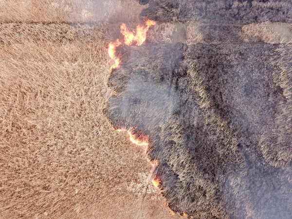 Vista Aerea Fuoco Campo Fumo Fiamme Ceneri Naturale — Foto Stock