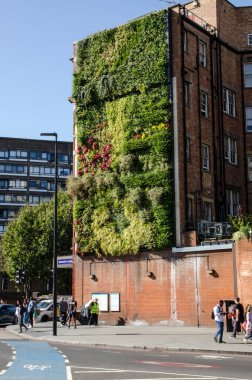 Londra, İngiltere - 21 Eylül 2019: Kirlilik, Londra 'nın Southwark kentindeki Elephant ve Castle' ın yoğun trafik kavşağında canlı bir duvarda büyüyen santralleri önlüyor.