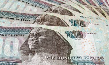 Mısır 'dan yüz sterlinlik banknotların hayranı. Kullanılmış banknotlar, bir açıdan fotoğraflanmış..