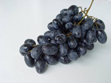 Beyaz arka planda siyah üzüm portre