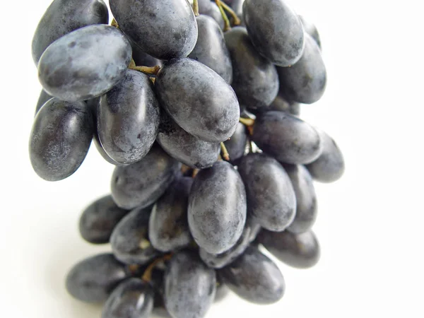 Rozmyte Czarne Winogrona Zbliżenie Tle — Zdjęcie stockowe