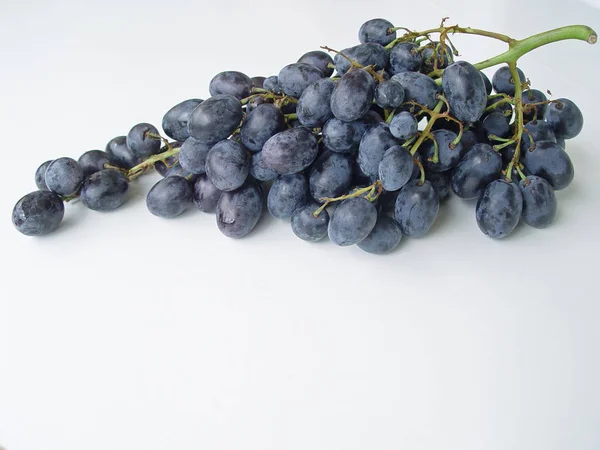 Beyaz arka planda siyah üzüm portre