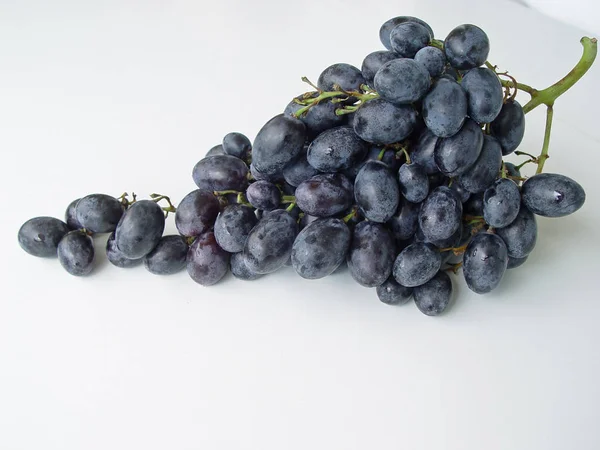 Beyaz arka planda siyah üzüm portre