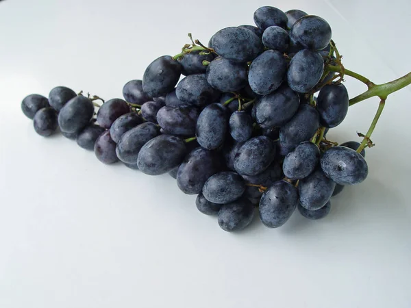 Black Grapes Closeup White Background — Stock Photo, Image