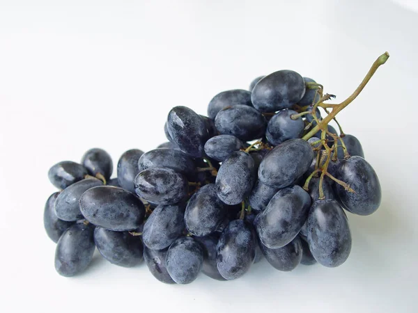 Uvas Negras Primer Plano Fondo Blanco — Foto de Stock