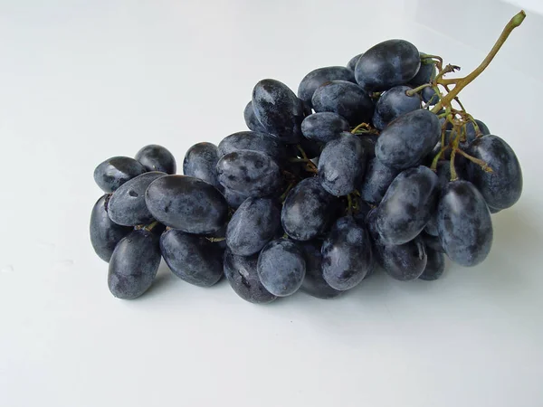 Uvas Negras Primer Plano Fondo Blanco — Foto de Stock