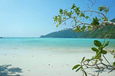 deniz plaj mavi gökyüzü surin Adası Tayland at