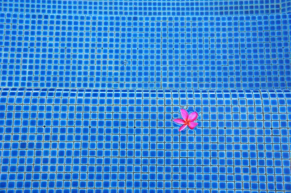 Schwimmbad mit rosa Blüten — Stockfoto