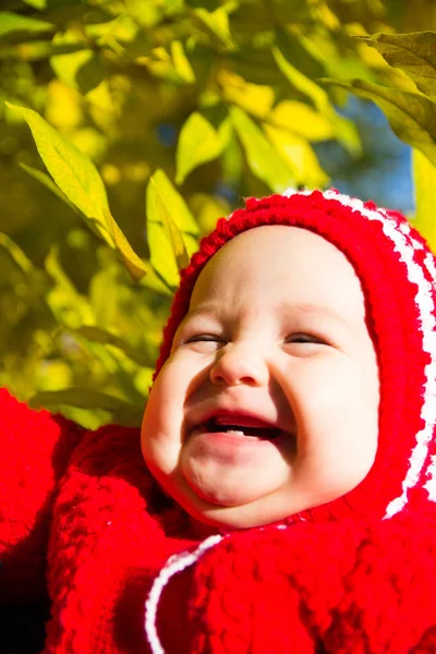 Retrato de un bebé riendo sobre un fondo de follaje amarillo —  Fotos de Stock