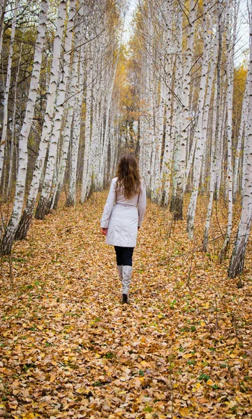Düşen yapraklar üzerinde yürüyen kadın — Stok fotoğraf