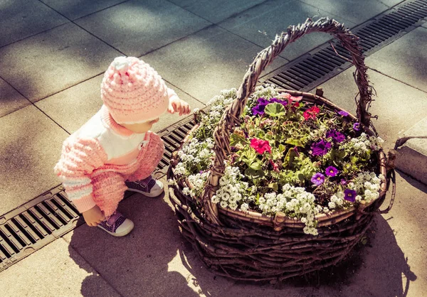 Uma criança está brincando em um canteiro de flores — Fotografia de Stock