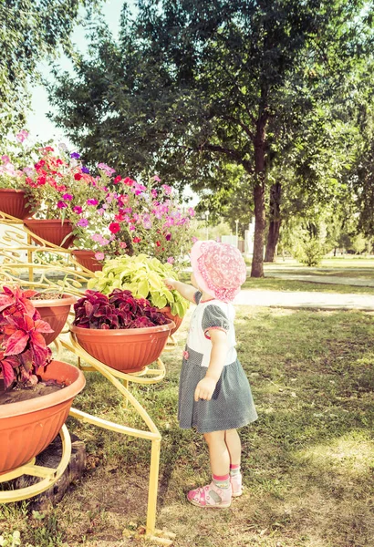 El niño está mirando flores. — Foto de Stock