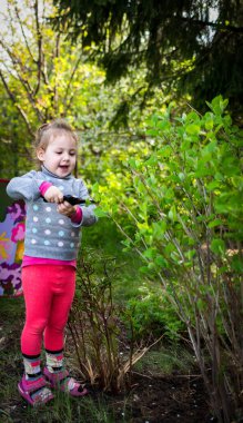 Çocuk bahçedeki makasla çalıları kesiyor.