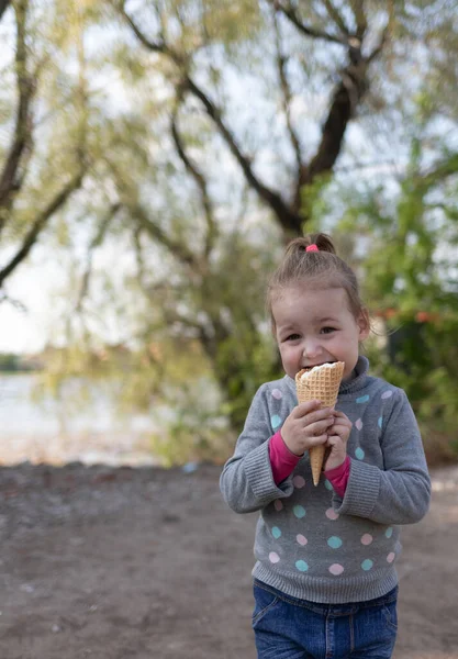 Child eats ice cream in a waffle cone — Stock Photo, Image
