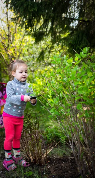 The child cuts the bush with scissors in the garden — Stock Photo, Image