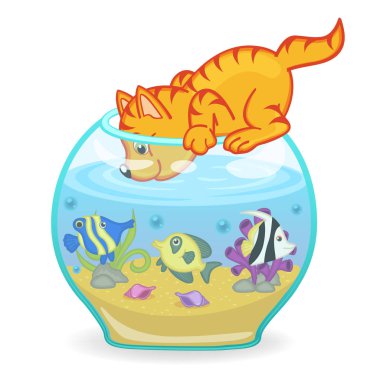 kedi akvaryuma balık ile seyir 