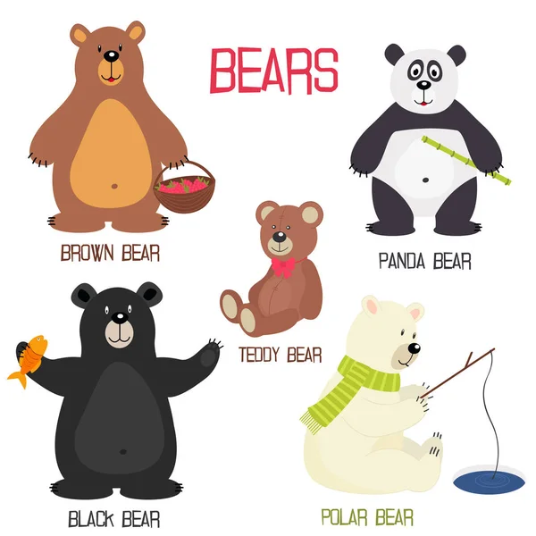 Set of isolated different bears — Stock Vector