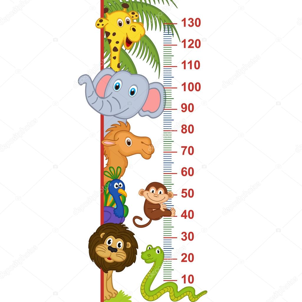 zoo animal height measure 