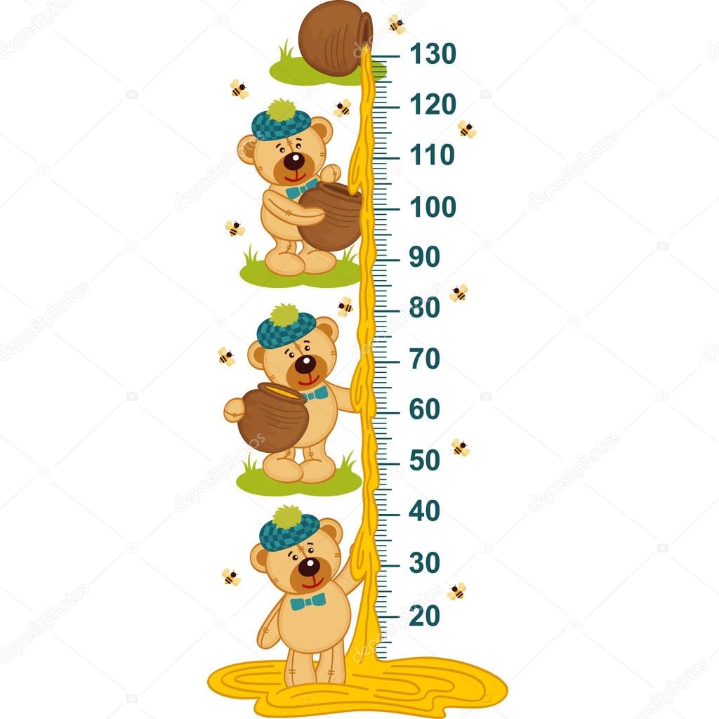 teddy bear and honey height measure 