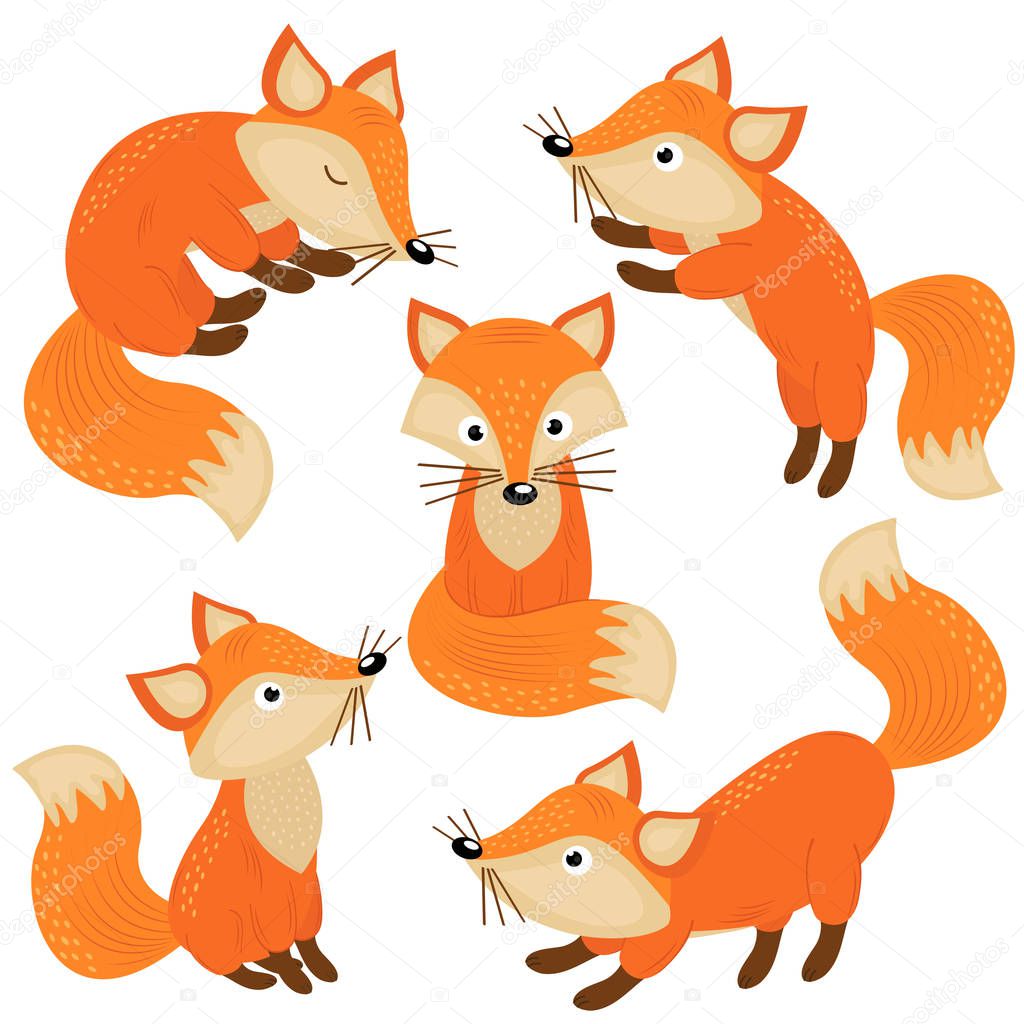 set of isolated cute foxes part 1 