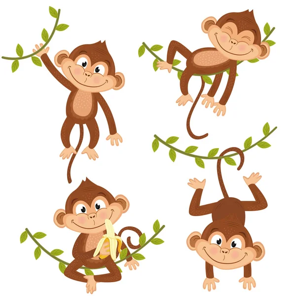 Набор изолированных обезьян, висящих на виноградной лозе — стоковый вектор