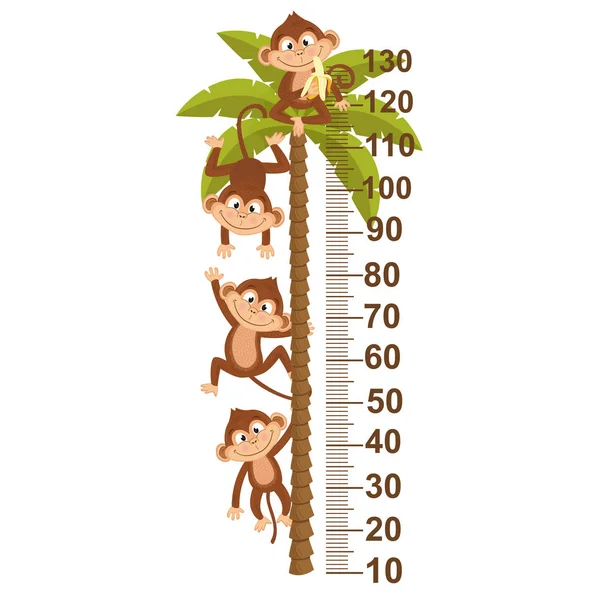 Büyüme ölçü maymun üstünde palmiye ile — Stok Vektör