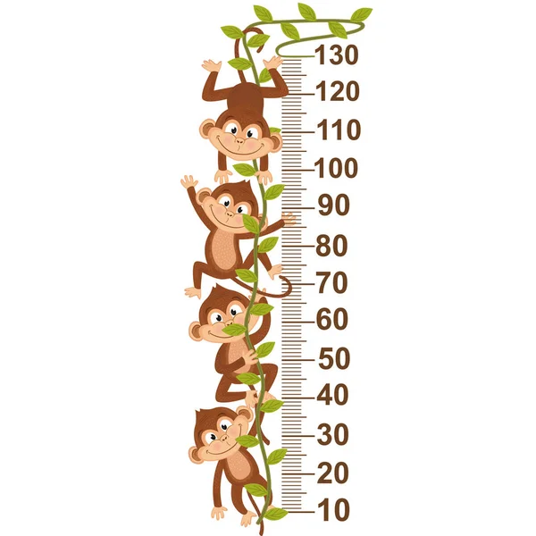 Growth measure with monkey on vine — Stock Vector