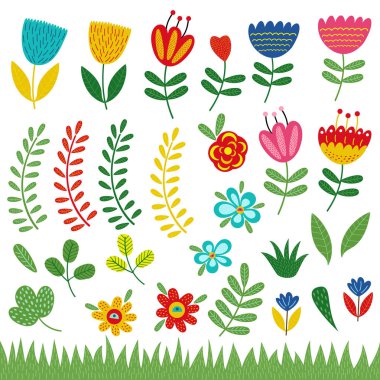 izole çiçekler ve bitkiler 